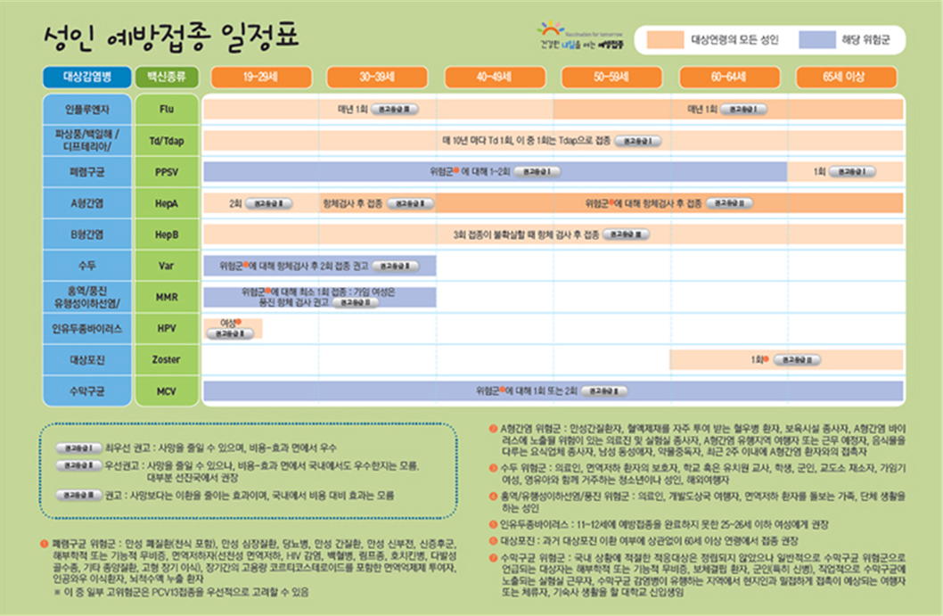 표준예방접종 일정표(성인)